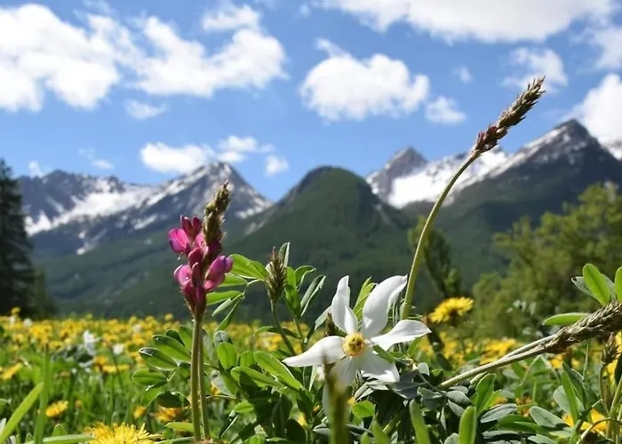 Nice Appt In Briancon Les Charmettes